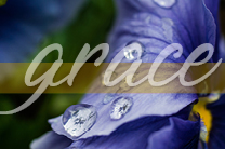 Ma grâce est tout ce dont vous avez besoin. 2 Corinthiens 12: 9. Illustration de Troy Dossett, United Methodist Communications.