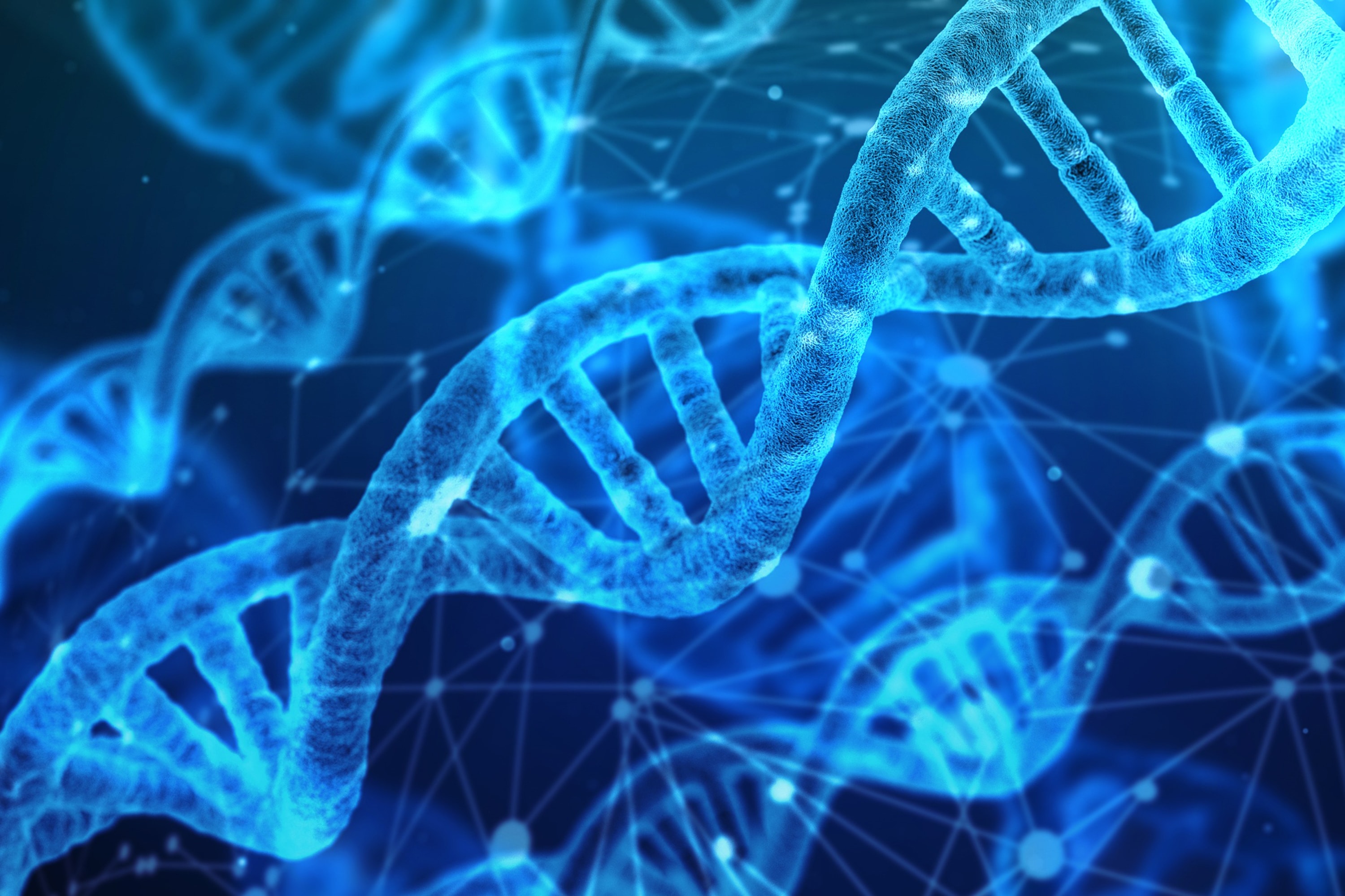 A double helix is the spiral arrangement of the two complementary strands of DNA. Image by Gerd Altmann, courtesy of Pixabay.