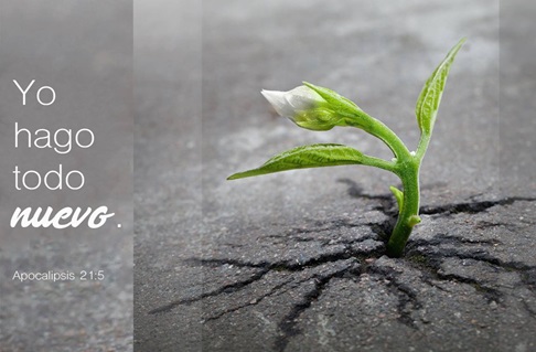 Foto de Skeeze, cortesía de pixabay.com. Gráfico original de Laurens Glass; versión en español Rev. Gustavo Vasquez, Noticias MU.