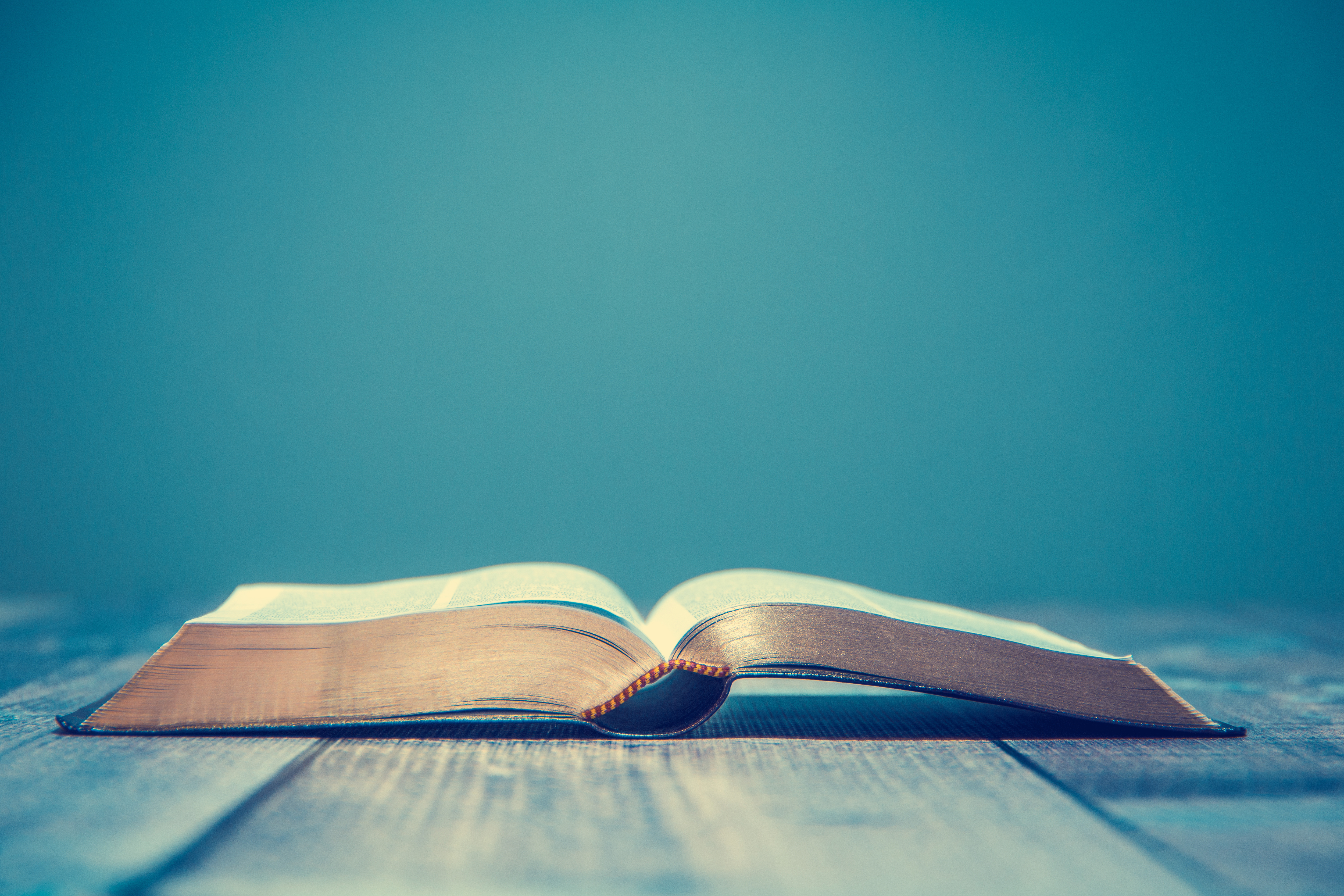 Lectio liberatio is a revealing way of engaging with scripture