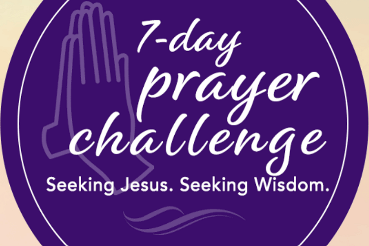 Sponsored by SBC21 and The Black Church Matters’ coaches, this 7-day video series features 2-minute video devotionals accompanied by a prayer starter. 