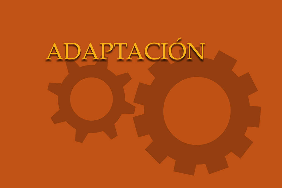 La adaptación a cada realidad regional permite variaciones en las distintas regiones y al mismo tiempo mantiene los compromisos teológicos, misionales y políticos básicos, existentes en la estructura de La Iglesia Metodista Unida. Gráfico de Laurens Glass, Comunicaciones Metodistas Unidas.