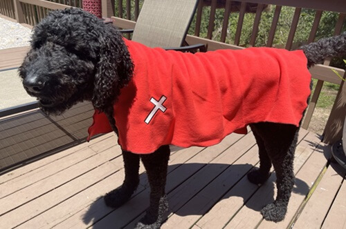 Pet prayer blanket from Pinnacle View UMC in Arkansas