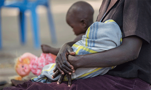 Photo: Albin Hillert/Life on Earth Pictures.